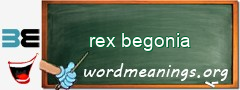 WordMeaning blackboard for rex begonia